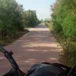 13260289_1744762009104974_4778891194835344762_n